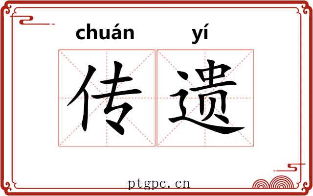 传遗 传遗