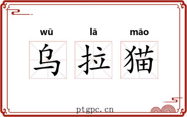 乌拉猫 乌拉猫