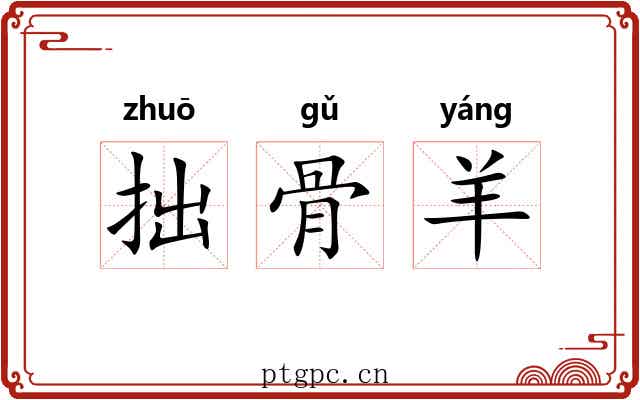 拙骨羊 拙骨羊
