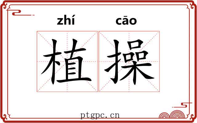 植操 植操