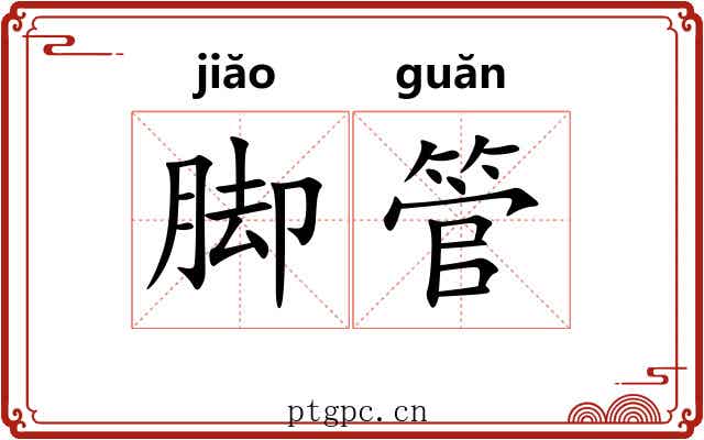 脚管 脚管