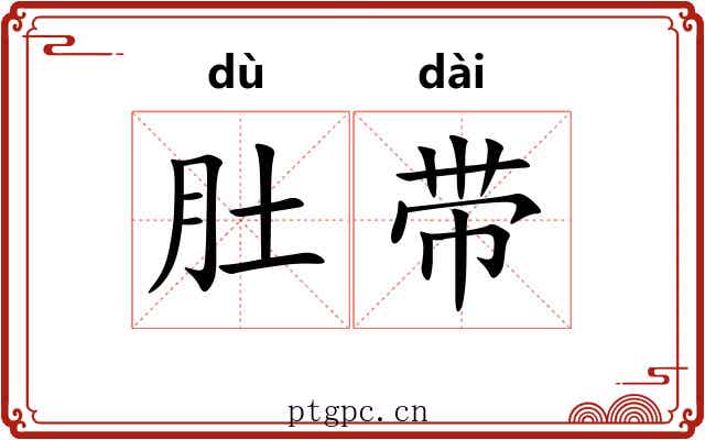 肚带 肚带