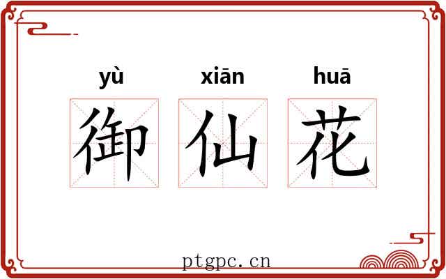御仙花