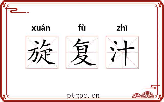 旋复汁