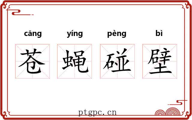 苍蝇碰壁