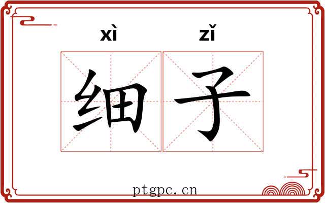 细子 细子