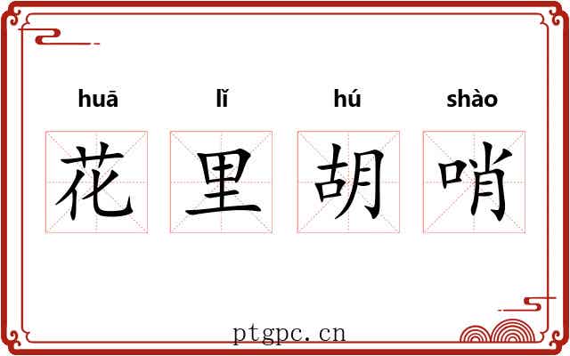 花里胡哨 花里胡哨