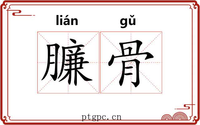 臁骨 臁骨