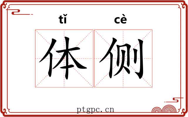 体侧 体侧