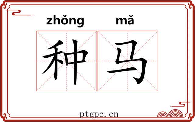 种马