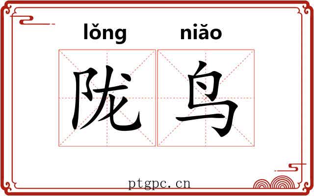 陇鸟