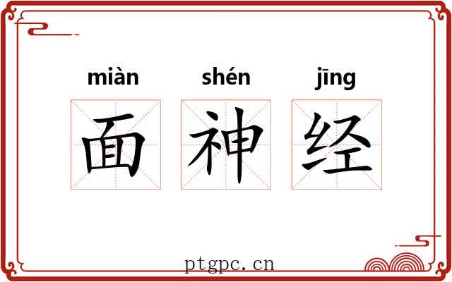 面神经 面神经