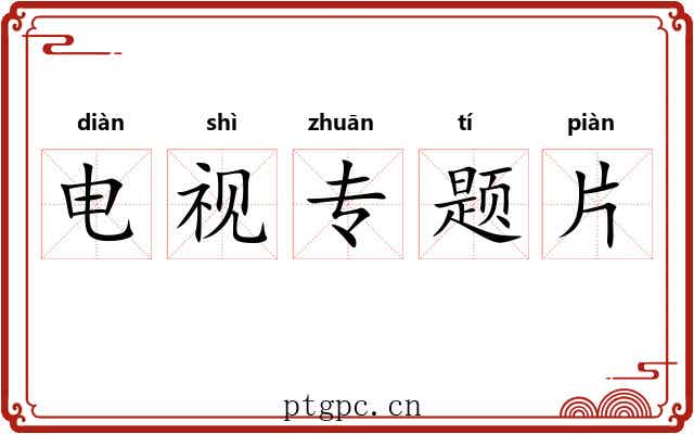电视专题片