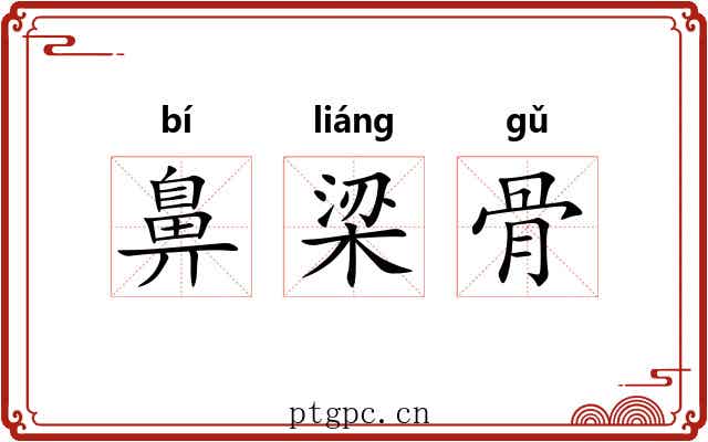 鼻梁骨 鼻梁骨
