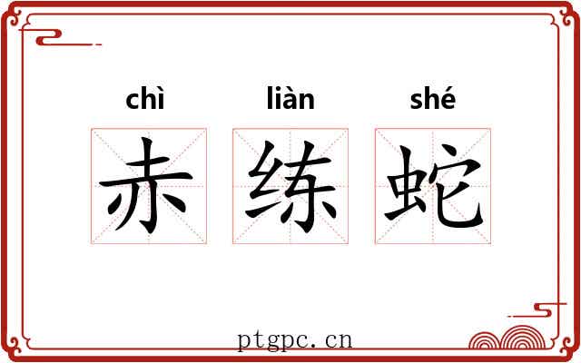 赤练蛇 赤练蛇
