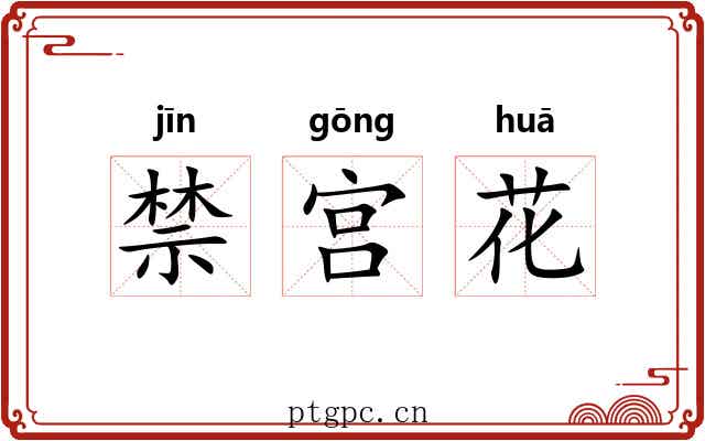 禁宫花 禁宫花