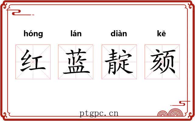 红蓝靛颏 红蓝靛颏