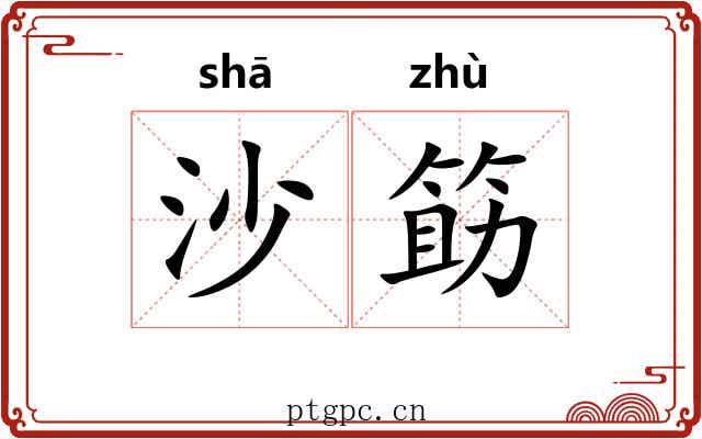 沙筯