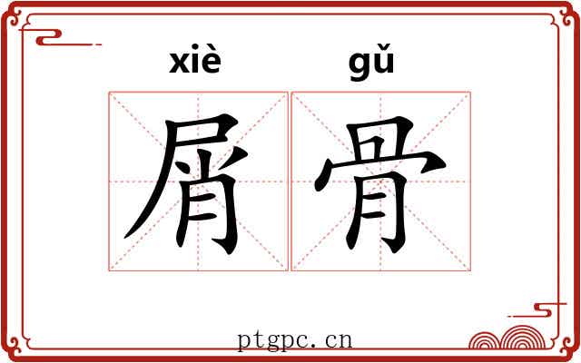 屑骨 屑骨