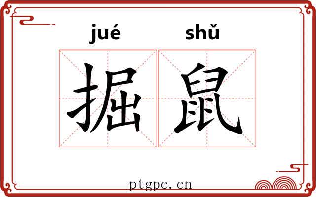 掘鼠