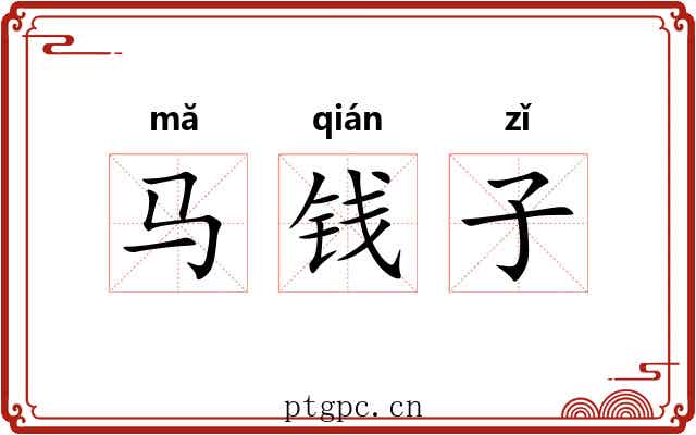 马钱子 马钱子