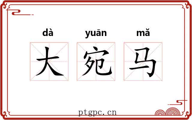 大宛马 大宛马