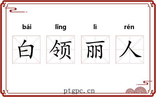 白领丽人