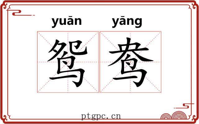 鸳鸯 鸳鸯