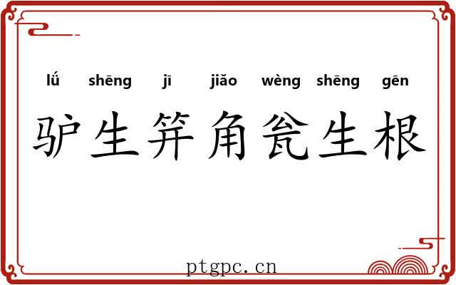 驴生笄角瓮生根