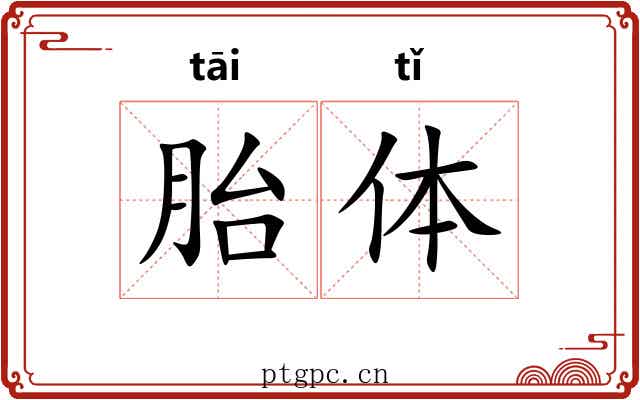 胎体 胎体