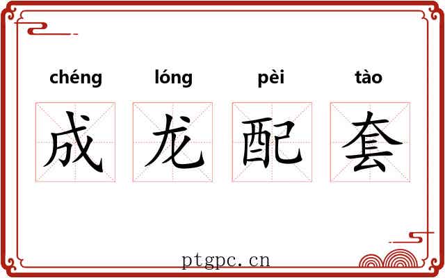 成龙配套 成龙配套