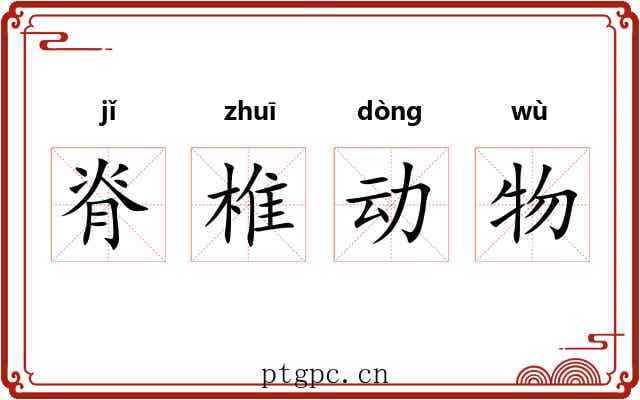 脊椎动物 脊椎动物