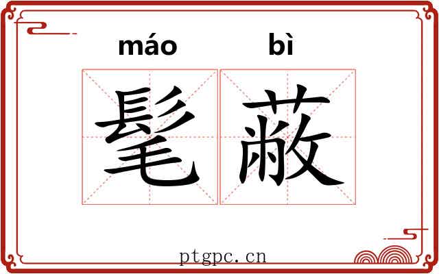 髦蔽