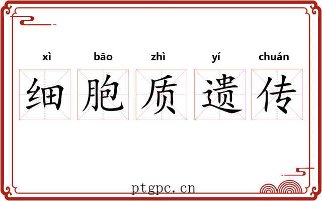 细胞质遗传 细胞质遗传