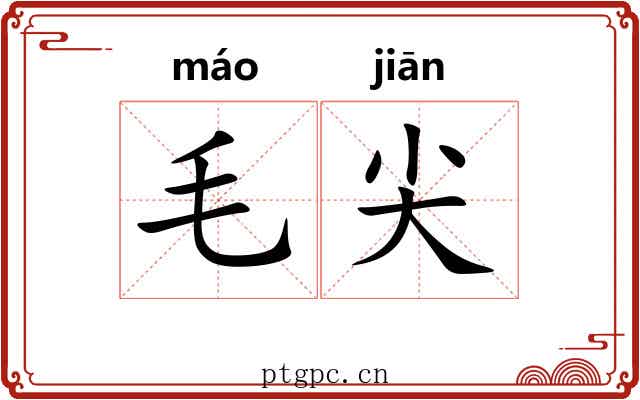 毛尖 毛尖