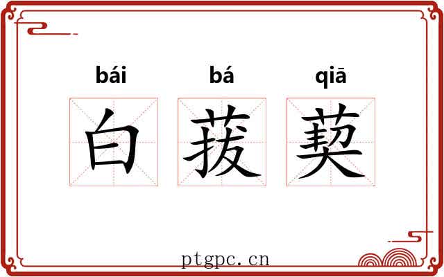 白菝葜 白菝葜