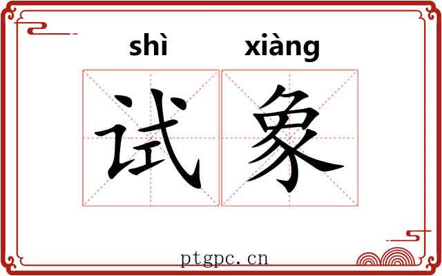 试象