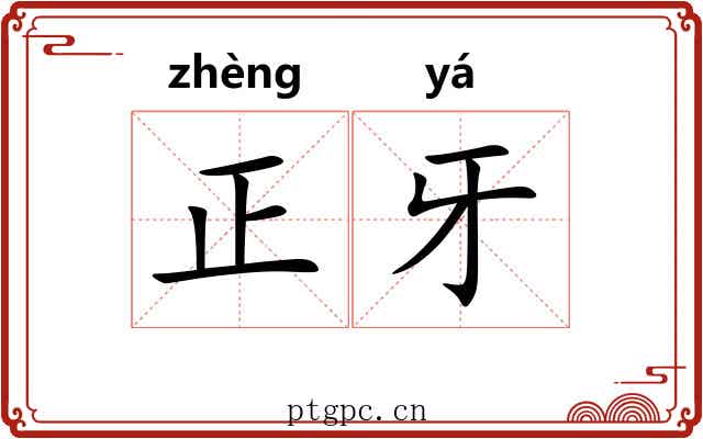 正牙