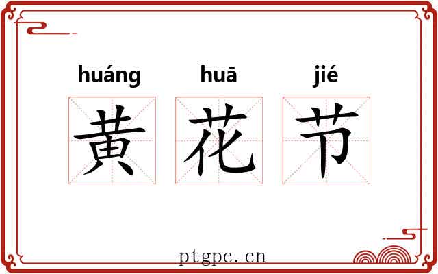黄花节 黄花节