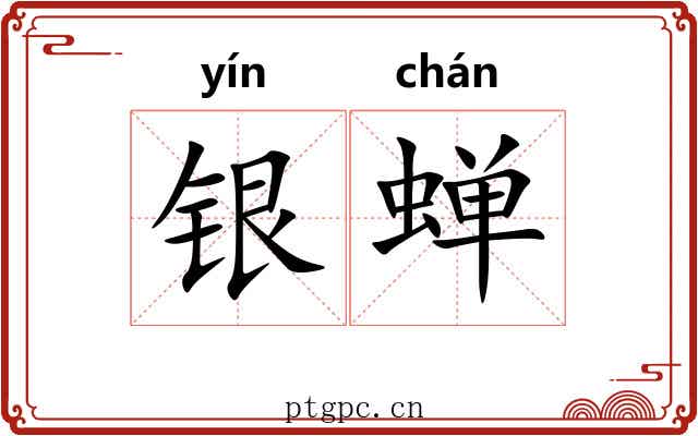 银蝉 银蝉
