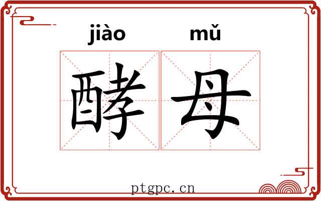 酵母 酵母