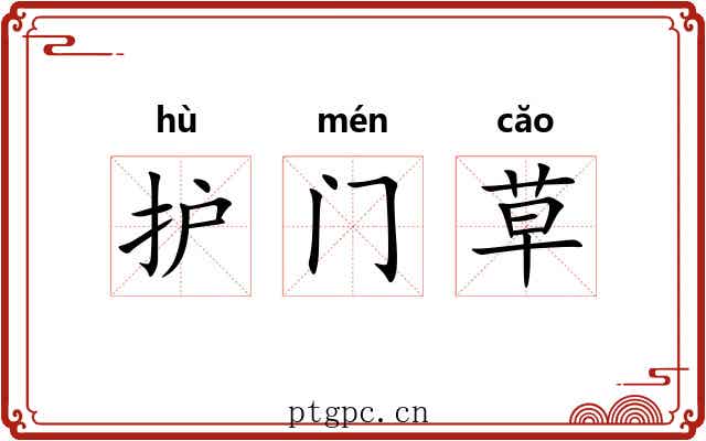 护门草 护门草