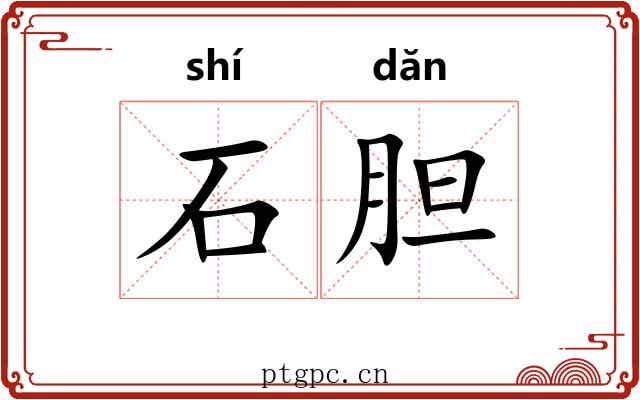 石胆 石胆