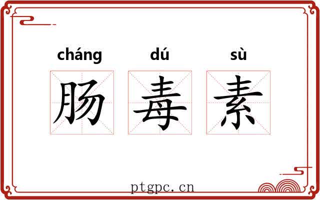肠毒素