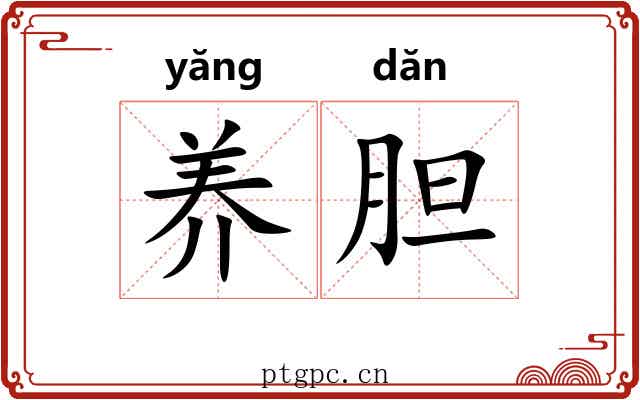 养胆 养胆