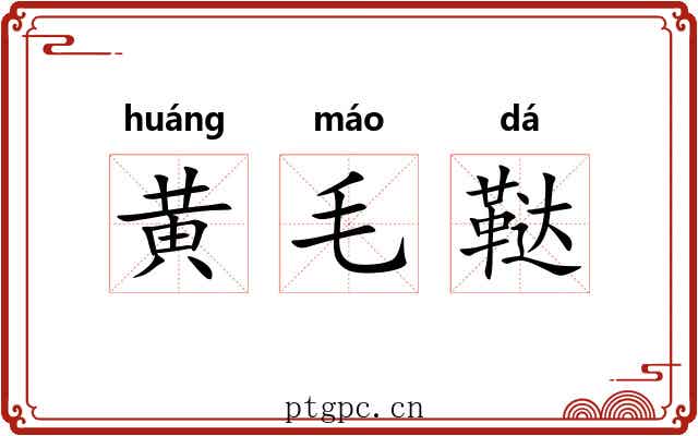 黄毛鞑