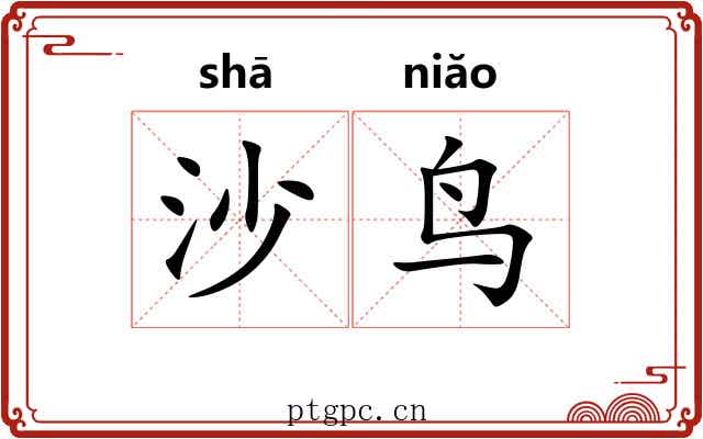 沙鸟