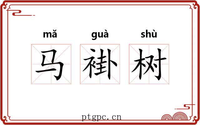 马褂树