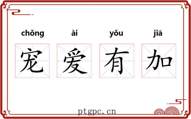 宠爱有加 宠爱有加