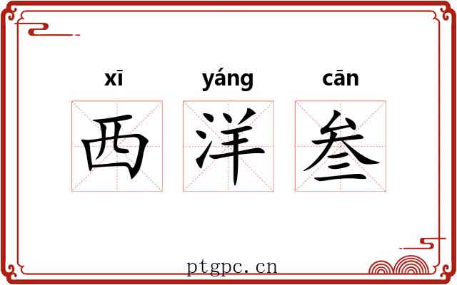 西洋叁 西洋叁